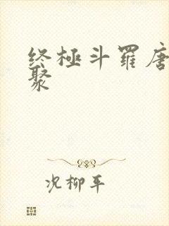 终极斗罗唐门重聚