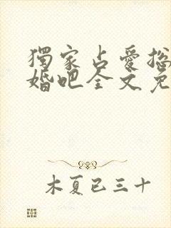独家占爱总裁结婚吧全文免费阅读