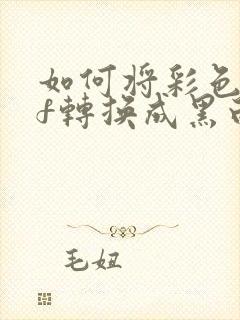 如何将彩色pdf转换成黑白pdf