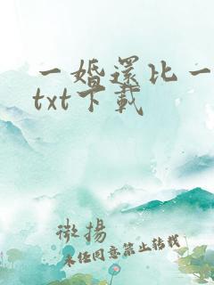 一婚还比一婚高txt下载
