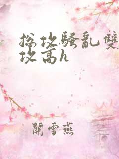 总攻骚乱双性互攻高h
