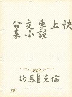 公交车上快插进来小说