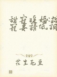 甜宠暖婚:总裁宠妻请低调