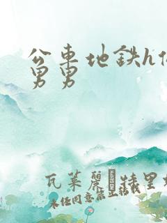 公车地铁h侵犯男男