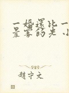 一婚还比一婚高晨雾的光 小说