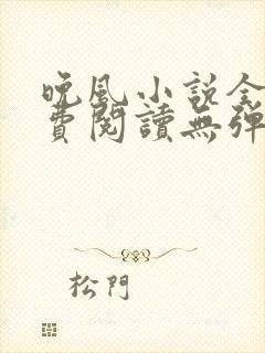 晚风小说全文免费阅读无弹窗
