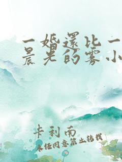 一婚还比一婚高晨光的雾小说