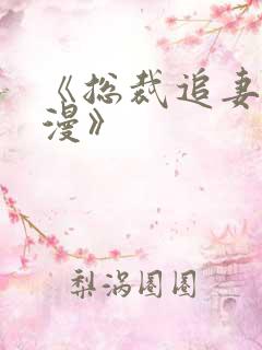 《总裁追妻路漫漫》