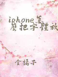 iphone怎么把字体放大
