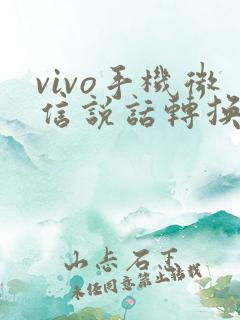 vivo手机微信说话转换文字