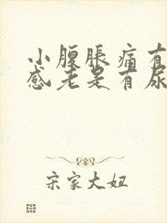 小腹胀痛有下坠感老是有尿意