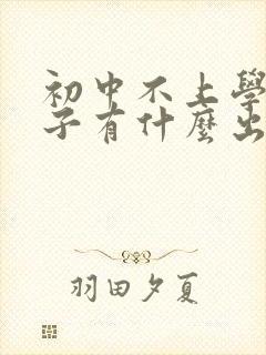初中不上学的孩子有什么出路