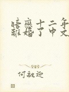 暗恋十二年的他离婚了中文网