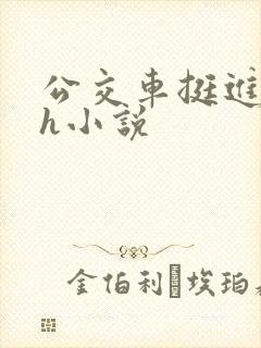 公交车挺进的小h小说