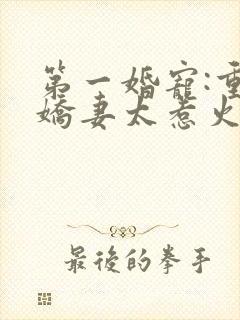 第一婚宠:重生娇妻太惹火'