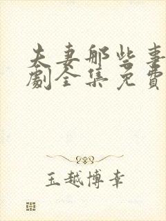 夫妻那些事电视剧全集免费观看完整版
