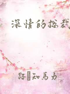 深情的总裁儿子