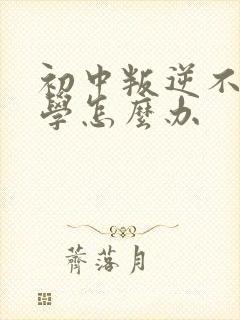 初中叛逆不想上学怎么办