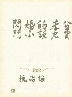 闪婚的老公是豪门小说免费阅读