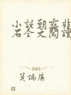 小说朝露非木非石全文阅读