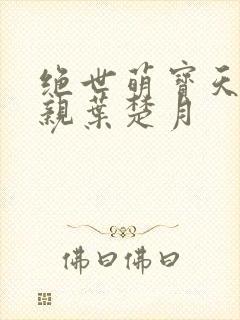 绝世萌宝天才娘亲叶楚月