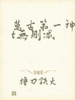 万古第一神txt无删减