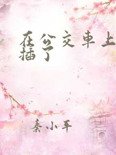 在公交车上被人插了