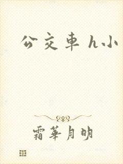 公交车 h小说