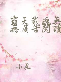 霸天武魂无弹窗无广告阅读