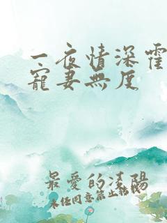 一夜情深霍先生宠妻无度