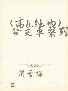 (高h,纯肉)公交车系列