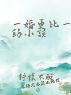 一婚更比一婚高的小说