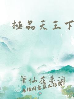 极品天王下载