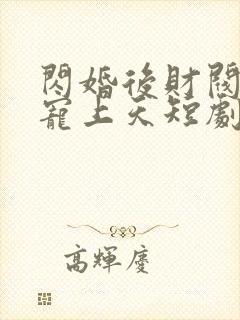 闪婚后财阀老公宠上天短剧