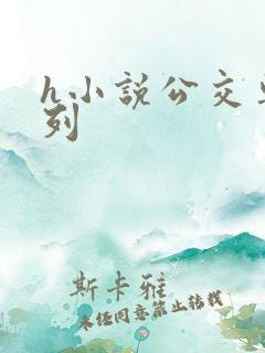 h小说公交车系列