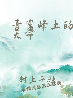 青鸾峰上的无敌天命