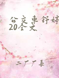 公交车舒婷1一20全文