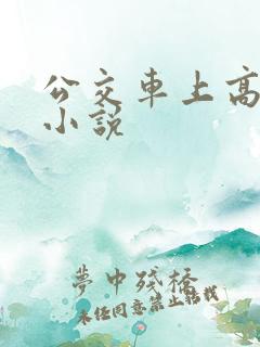 公交车上高潮了小说