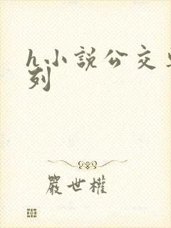 h小说公交车系列