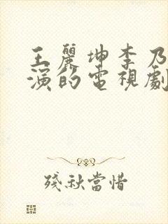 王丽坤李乃文主演的电视剧
