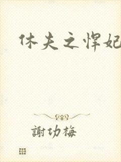 休夫之悍妃当道
