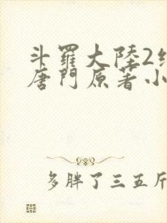 斗罗大陆2绝世唐门原著小说