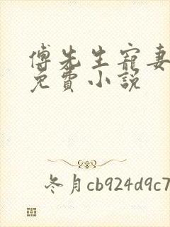 傅先生宠妻无度免费小说