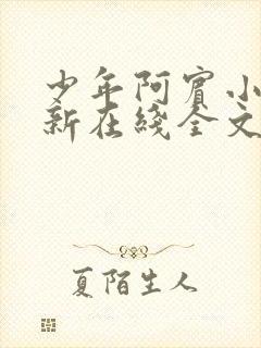 少年阿宾小说最新在线全文阅读