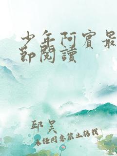 少年阿宾最新章节阅读