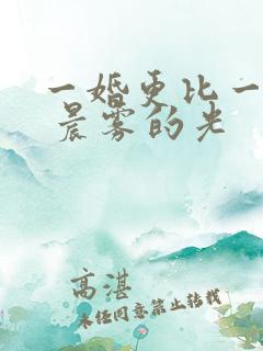 一婚更比一婚高 晨雾的光