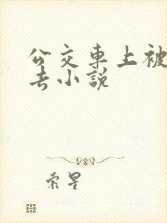 公交车上被插进去小说