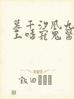 慕千汐凰九夜邪王嗜宠鬼医狂妃免费阅读