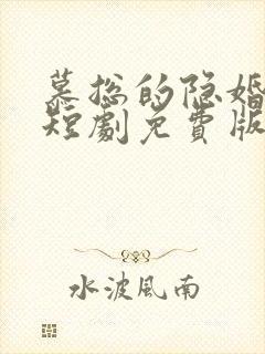 慕总的隐婚罪妻短剧免费版
