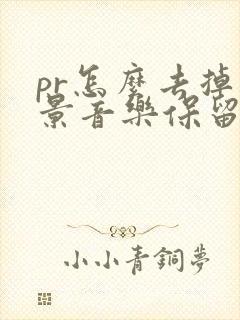 pr怎么去掉背景音乐保留人声